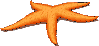 starfish.gif (4212 bytes)